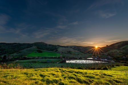 McEvoy-Ranch-Sunset