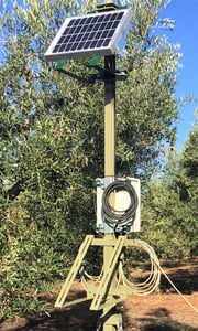 olive groves - meteo station 