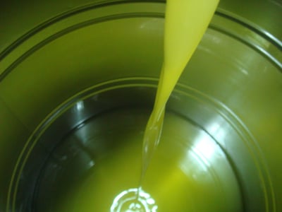 production - Finest evoo 