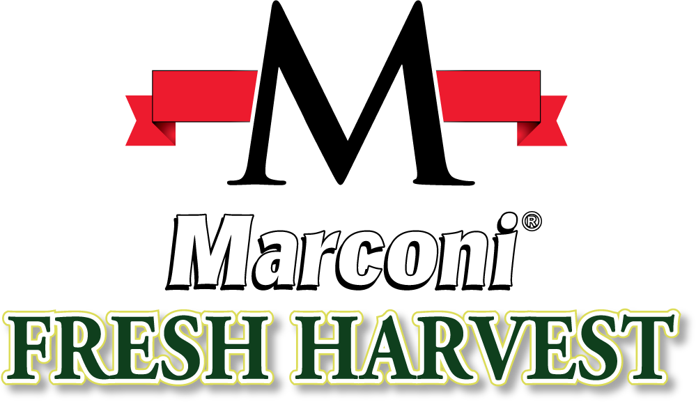 Marconi Fresh Harvest