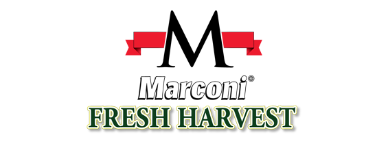 Marconi Fresh Harvest