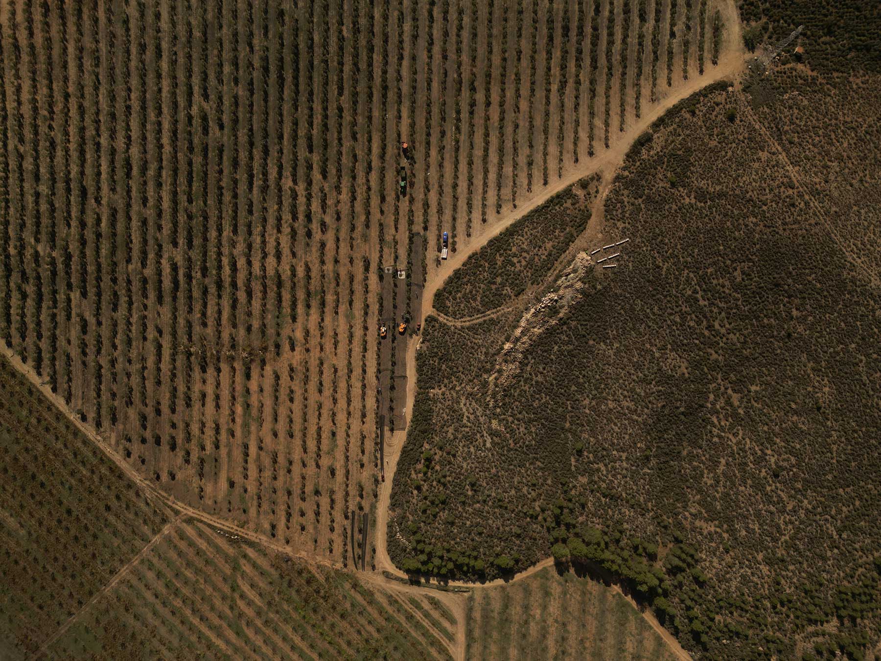 Pago de Peñarrubia S.L.