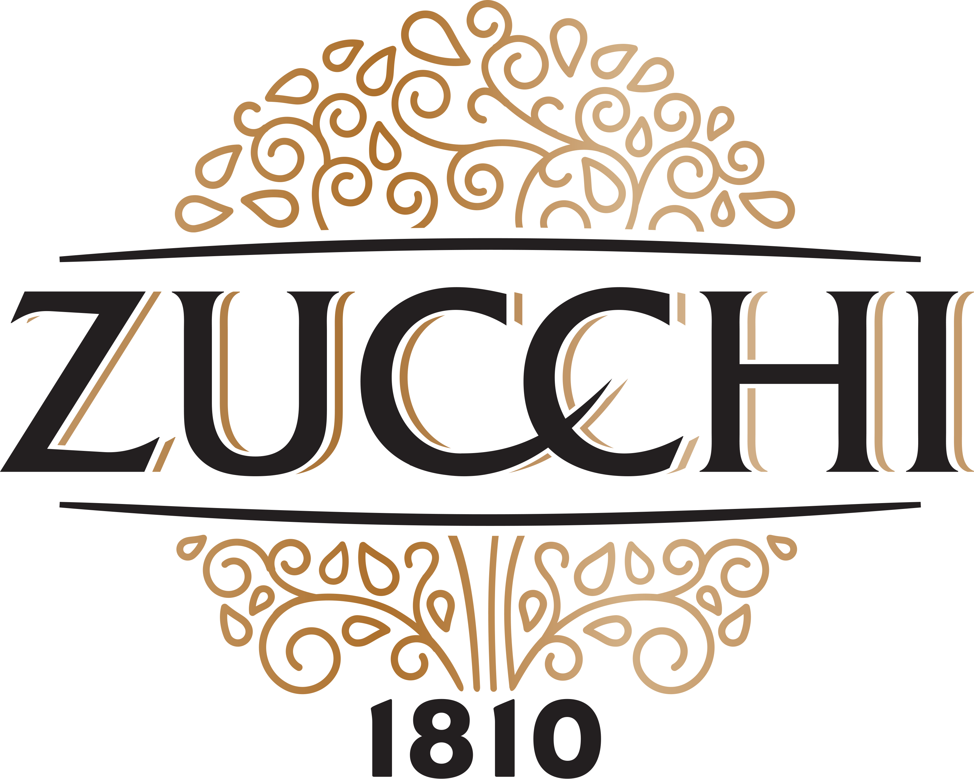 Zucchi Olive Oil