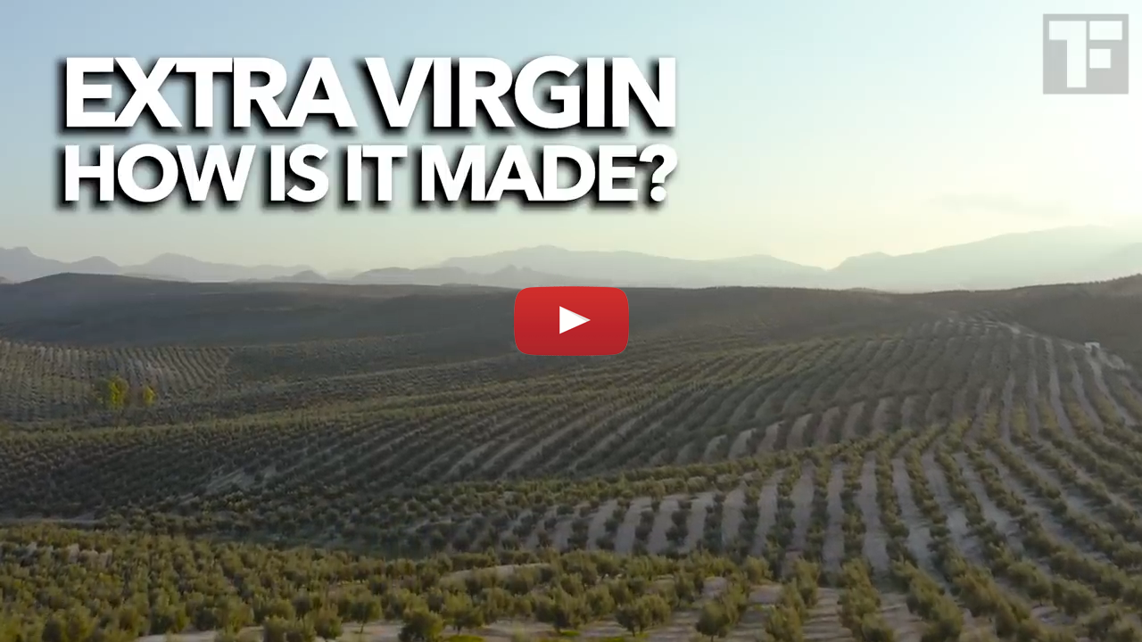 Segment 1. Introduction to the World of Olive oil (16 minutes)